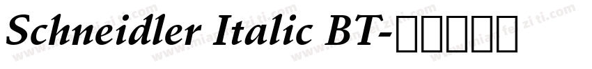 Schneidler Italic BT字体转换